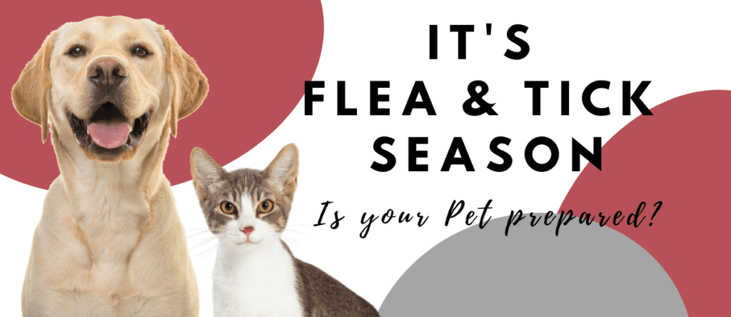 It's flea & tick season! Is your pet prepared?