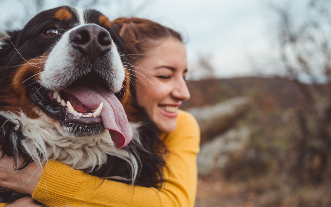 What Happens If You Ignore Your Pet’s Dental Health?