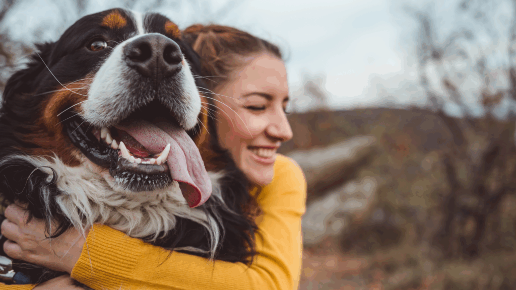 Woman smiling as she hugs a joyful Bernese Mountain Dog.