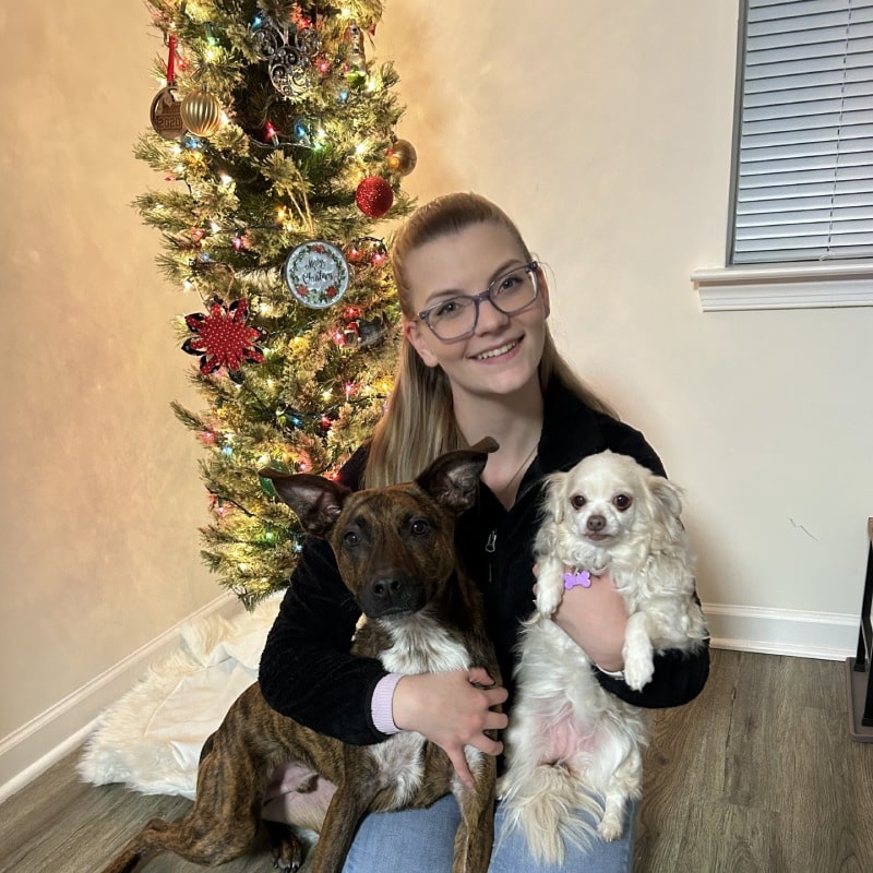 Woman sitting with two dogs by a Christmas tree.