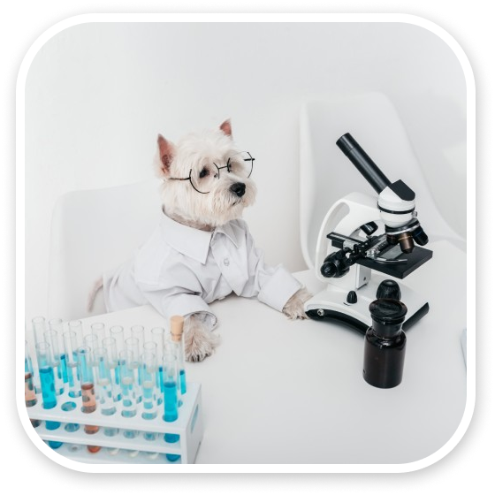 A dog dressed in a lab coat and glasses sitting next to a microscope and test tubes.