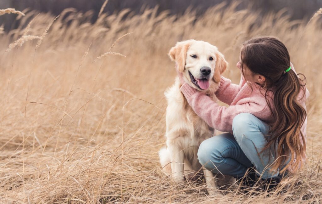 Girl in a pink sweater petting a happy golden retriever in a field.