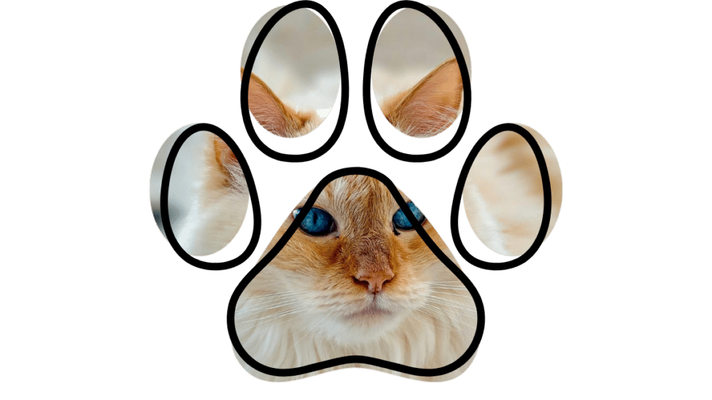 trusted vet near me serving Newburgh NY