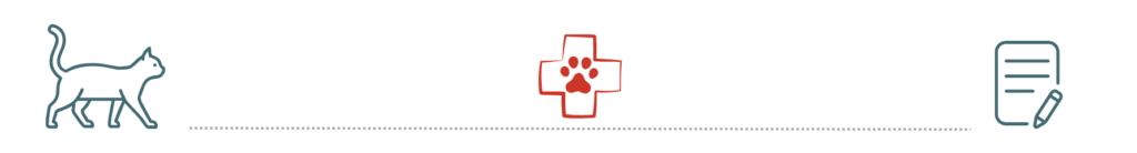 pet insurance emergency care support at Stone Cottage Veterinary Hospital in Newburgh NY