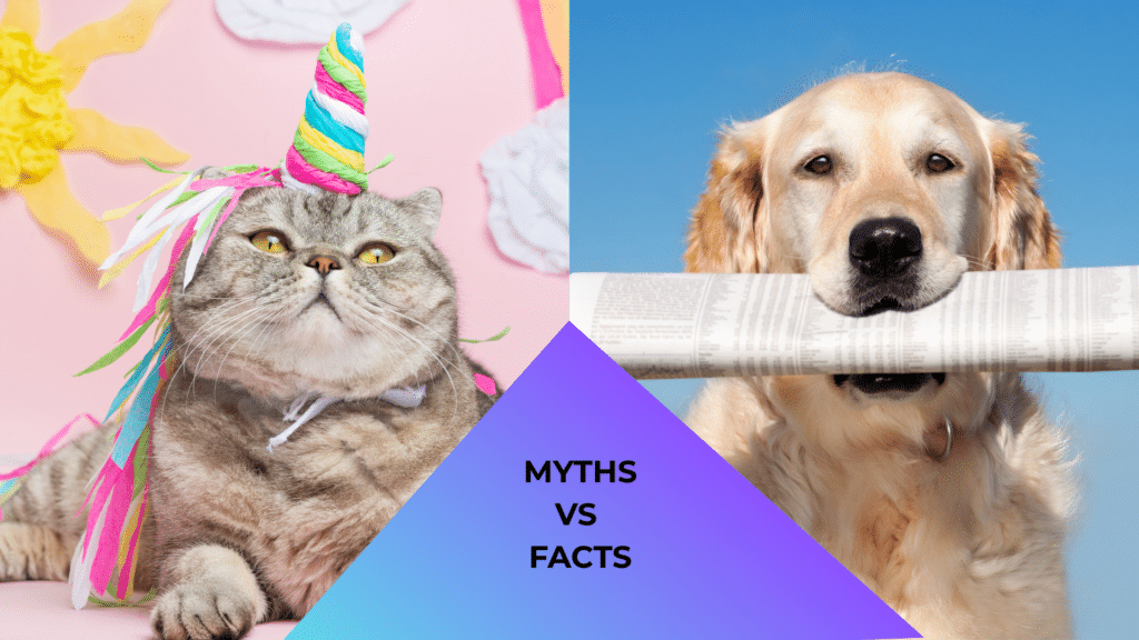 Cat dressed like a unicorn and dog holding a newspaper representing myths and facts about animal care in Newburgh, NY