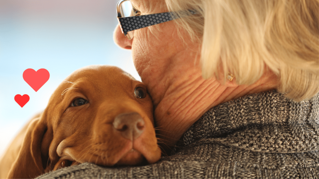 New puppy being held by an owner with support from Stone Cottage Veterinary Hospital in Newburgh, NY
